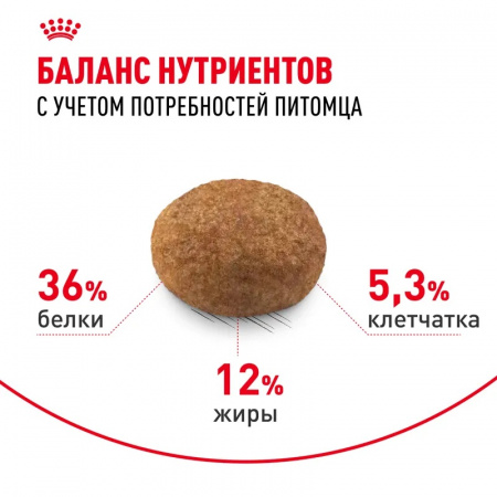 Сухой корм ROYAL CANIN Sterilised 7+, для стерилизованных кошек и кастрированных котов 1.5кг.