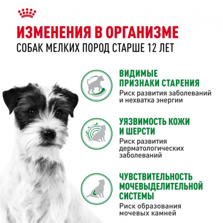 Влажный корм ROYAL CANIN Mini Ageing 12+ для пожилых собак мелких пород кусочки в соусе 85г