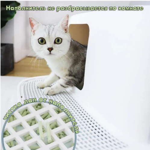 Новый проект (28)