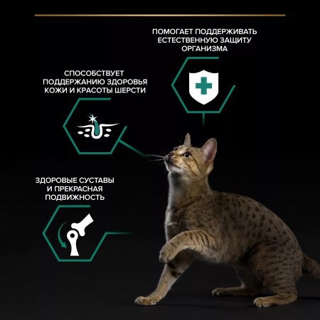 Влажный корм Purina PRO PLAN для взрослых кошек, с курицей в соусе, 85г