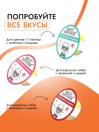 Влажный корм Best Dinner для щенков и собак мелких пород, паштет с птицей и картофелем, 100г