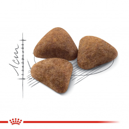 Сухой корм ROYAL CANIN Indoor 27, для взрослых кошек постоянно живущих в помещении, 200г