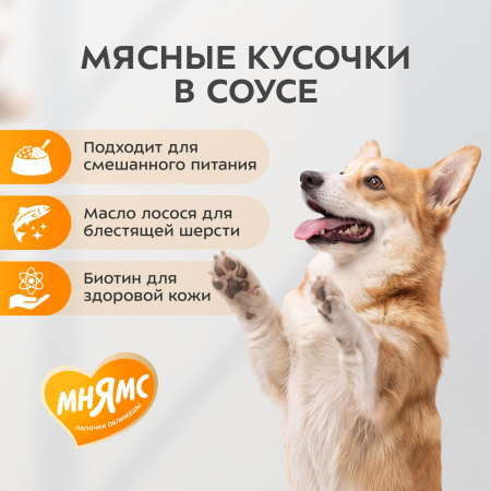 Влажный корм Мнямс для взрослых собак всех пород, кусочки в соусе с ягненком «Красивая шерсть», 400г