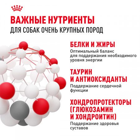 Сухой корм ROYAL CANIN GIANT ADULT для взрослых собак крупных пород, 15кг