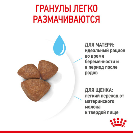 Сухой корм ROYAL CANIN Mini Starter Mother & Babydog, для собак мелких размеров (весом до 10 кг) в конце беременности и в период лактации, а также для щенков в период отъема от матери и до 2-х месячного возраста, 1кг