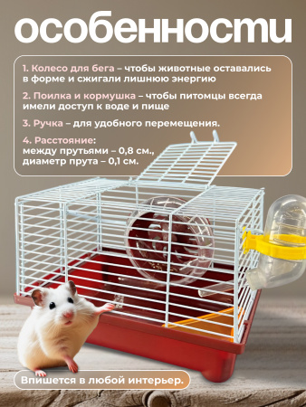 M024-BR Клетка для грызунов "Минихаус S" "Чистый котик" коричневый