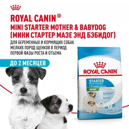 Сухой корм ROYAL CANIN Mini Starter для щенков мелких (вес взрослой собаки от 1 до 10 кг) пород до 2 мес, а также для собак крупных пород в конце беременности и в период лактации 3кг