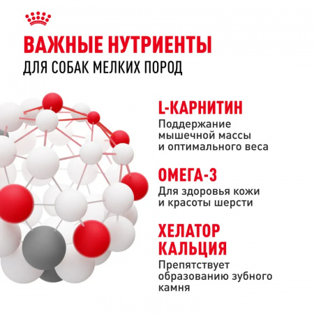 Сухой корм ROYAL CANIN Mini Adult для собак мелких пород (весом от 1 до 10 кг) в возрасте от 10 месяцев до 8 лет 8кг