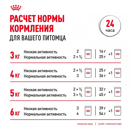 Влажный корм ROYAL CANIN Indoor Sterilised 7+, для кошек в возрасте от 7 до 12 лет, живущих в помещении, кусочки в желе, 85г