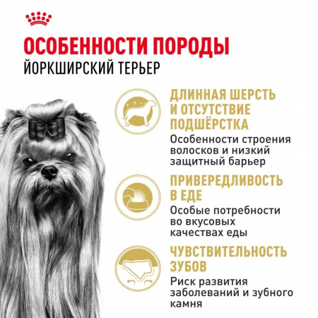 Сухой корм ROYAL CANIN Yorkshire Terrier 8+, для стареющих собак породы Йоркширский Терьер от 8 лет, 500г.