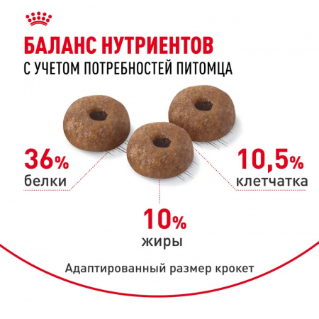 Сухой корм ROYAL CANIN Light Weight Care, для взрослых кошек для профилактики лишнего веса, 400г.