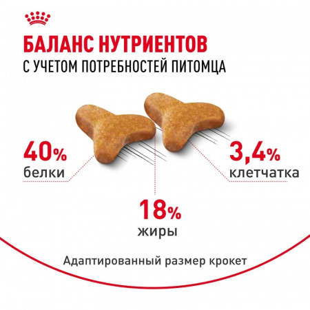 Сухой корм ROYAL CANIN Bengal Adult для взрослых кошек бенгальской породы старше 12 мес, 2кг