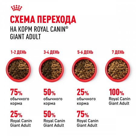 Сухой корм ROYAL CANIN GIANT ADULT для взрослых собак крупных пород, 15кг