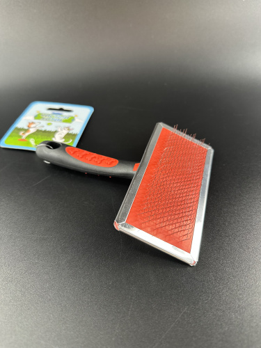 IMG_3600