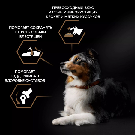 Сухой корм Purina PRO PLAN Duo Delice для взрослых собак средних и крупных пород, с двойной текстурой гранул, с говядиной, 10 кг