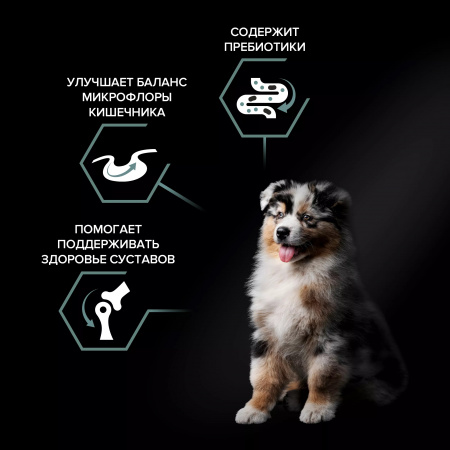 Сухой корм PRO PLAN Sensitive Digestion для щенков средних пород, с чувствительным пищеварением, с ягненком, 3 кг