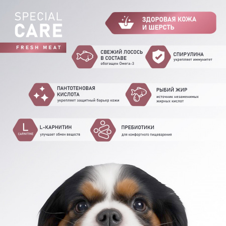 Сухой корм AWARD Special Care Sensitive Skin&Coat для взрослых собак всех пород, для здоровой кожи и шерсти, со свежим лососем, 2 кг