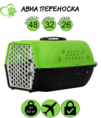 HP-C01S Авиа переноска для домашних животных "Чистый котик" 48*32*26 см светло-зелёный