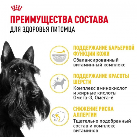 Сухой корм ROYAL CANIN Mini Dermacomfort, для взрослых собак мелких размеров при раздражениях и зуде кожи, 1кг