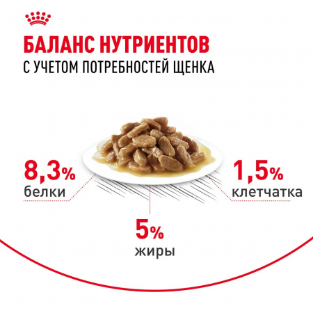 Влажный корм ROYAL CANIN Maxi Puppy для щенков крупных пород до 15 месяцев, кусочки в соусе, 100г