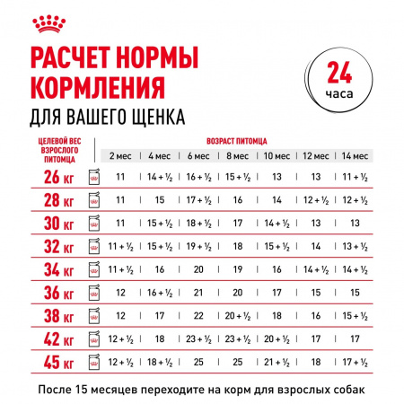 Влажный корм ROYAL CANIN Maxi Puppy для щенков крупных пород до 15 месяцев, кусочки в соусе, 100г