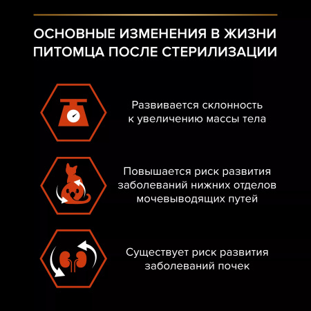 Сухой корм Purina PRO PLAN Sterilised Vital Functions для стерилизованных кошек, для поддержания функций почек, мозга и иммунитета, с лососем, 400 г