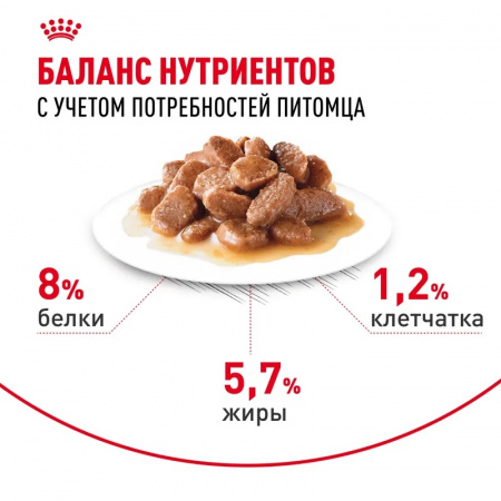 Влажный корм ROYAL CANIN Mini Ageing 12+ для пожилых собак мелких пород кусочки в соусе 85г
