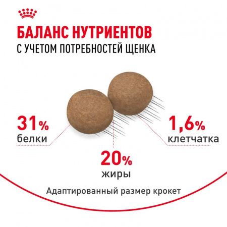 Сухой корм Royal Canin Mini Puppy для щенков мелких пород, 4кг