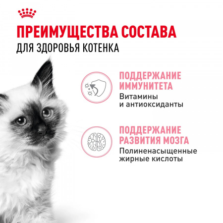 Влажный корм ROYAL CANIN Kitten, для котят в возрасте до 12 месяцев, кусочки в соусе, 85г