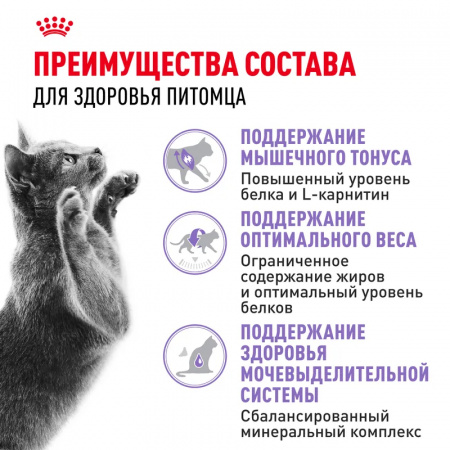Сухой корм ROYAL CANIN Sterilised 37, для стерилизованных кошек и кастрированных котов, 2 кг