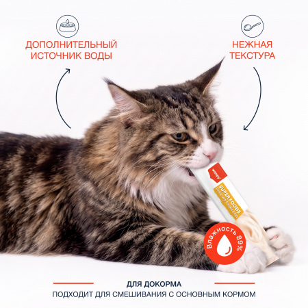 Лакомство Wanpy Cat для взрослых кошек, Нежное пюре из курицы с тыквой и кейлом, 70г