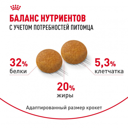 Сухой корм ROYAL CANIN Siberian Adult для взрослых кошек сибирской породы, 2 кг