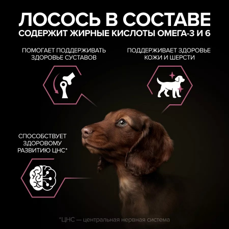 Сухой корм Purina PRO PLAN Sensitive Skin для щенков мелких и карликовых пород, с чувствительной кожей, с лососем, 700 г