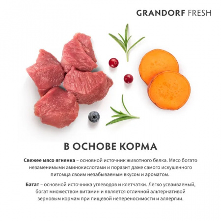 Сухой корм GRANDORF Fresh CAT, беззерновой, для стерилизованных или пожилых кошек, с живыми пробиотиками, свежее мясо ягненка с бататом, 400 г