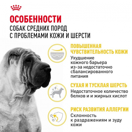 Сухой корм ROYAL CANIN Medium Dermacomfort для взрослых собак средних размеров при раздражениях и зуде кожи, 10кг