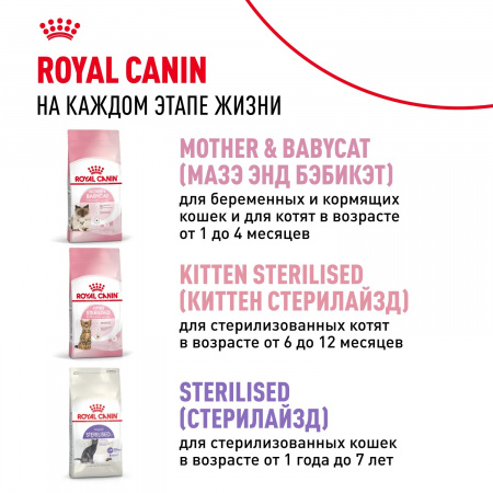 Сухой корм ROYAL CANIN Kitten для котят во второй фазе роста от 4 до 12 месяцев, 2 кг