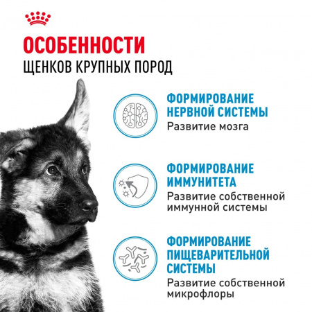 Влажный корм ROYAL CANIN Maxi Puppy для щенков крупных пород до 15 месяцев, кусочки в соусе, 100г