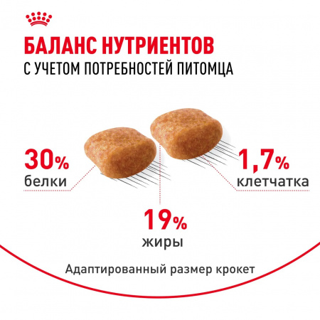 Сухой корм ROYAL CANIN Poodle Adult, для взрослых собак породы Пудель, 1,5 кг