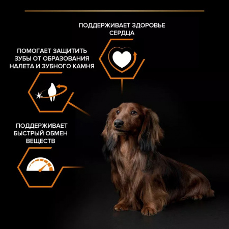 Сухой корм Purina PRO PLAN Everyday Nutrition для взрослых собак мелких пород, с курицей, 3 кг