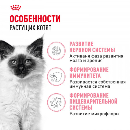 Сухой корм ROYAL CANIN Kitten для котят во второй фазе роста от 4 до 12 месяцев, 10 кг