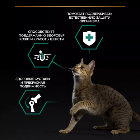 Влажный корм Purina PRO PLAN для взрослых кошек, с говядиной в соусе, 85г