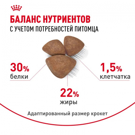 Сухой корм ROYAL CANIN Mini Starter для щенков мелких (вес взрослой собаки от 1 до 10 кг) пород до 2 мес, а также для собак крупных пород в конце беременности и в период лактации 3кг