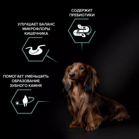 Сухой корм Purina PRO PLAN Sensitive Digestion для взрослых собак мелких и карликовых пород, с чувствительным пищеварением, с ягненком, 700 г