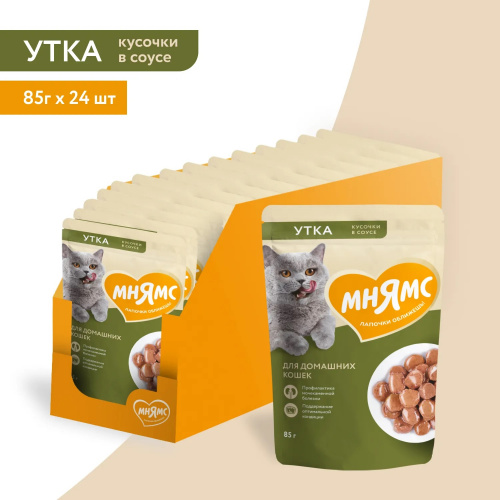 для дом кошек3
