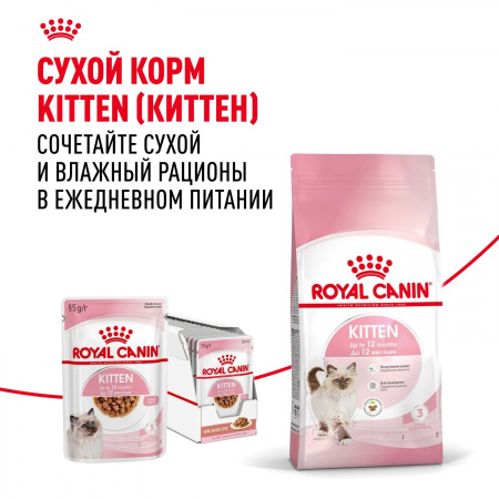 Влажный корм ROYAL CANIN Kitten, для котят в возрасте до 12 месяцев, кусочки в соусе, 85г