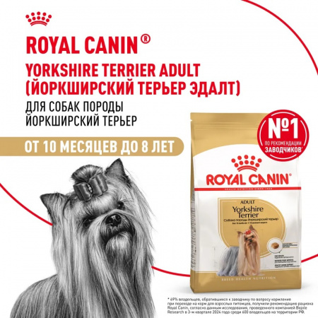 Сухой корм ROYAL CANIN Yorkshire Terrier 8+, для стареющих собак породы Йоркширский Терьер от 8 лет, 500г.