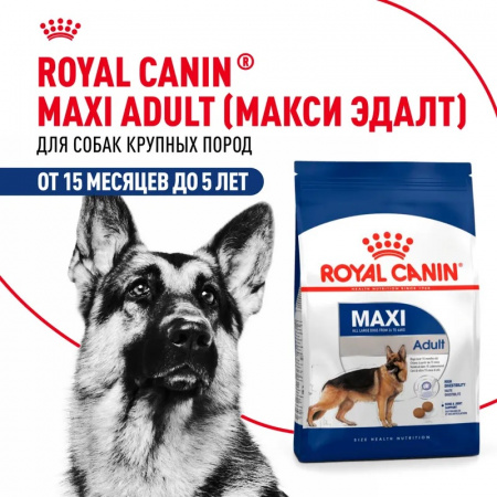 Сухой корм ROYAL CANIN Maxi Adult для собак крупных пород (весом от 26 до 44 кг) в возрасте от 15 месяцев до 5 лет, 15кг