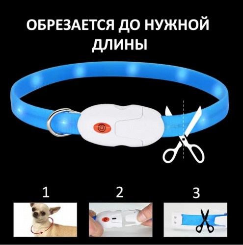 С9 (2)