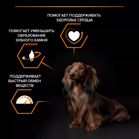 Сухой корм Purina PRO PLAN Everyday Nutrition для взрослых собак мелких и карликовых пород, с курицей, 7 кг