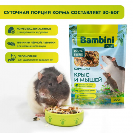 Сухой корм Bambini Pets для крыс и мышей, 800г